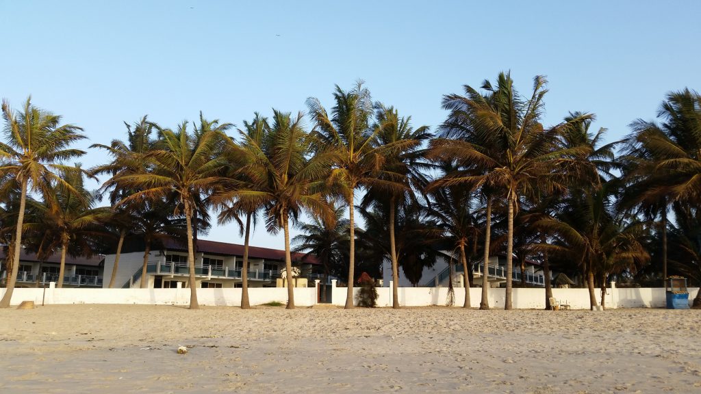 Palm Trees