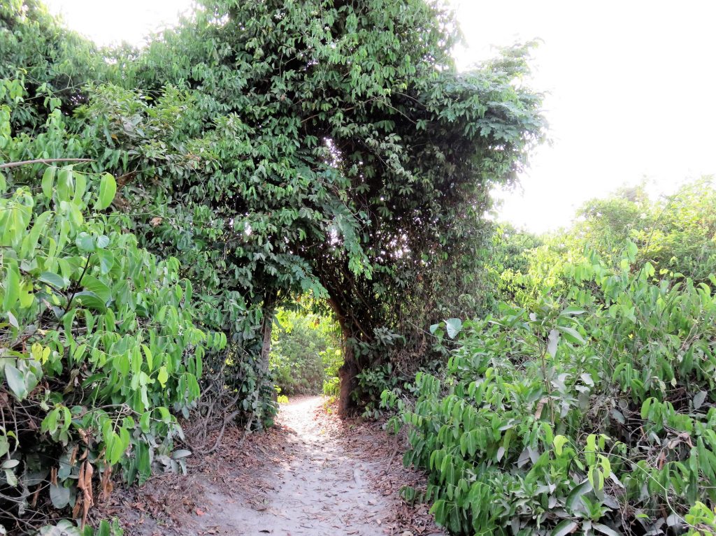 Natural Arch